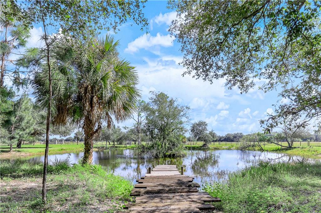 17680 Wildcat Drive Fort Myers, FL 33913 - Photo 44 of 50 a view of a lake from a yard