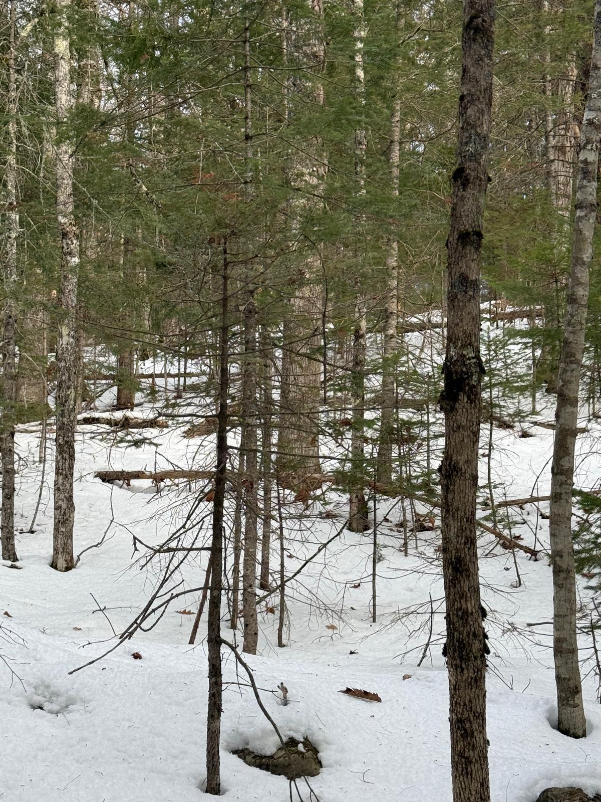 Map4-lot11 East Bucksport Road Orrington, ME 04474 - Photo 3 of 10 1