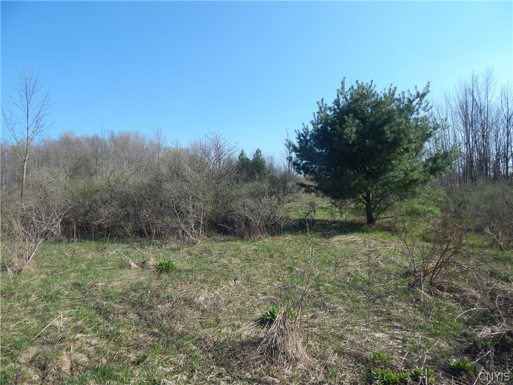3918 Alene Corners Road Canastota, NY 13032 - Photo 4 of 10