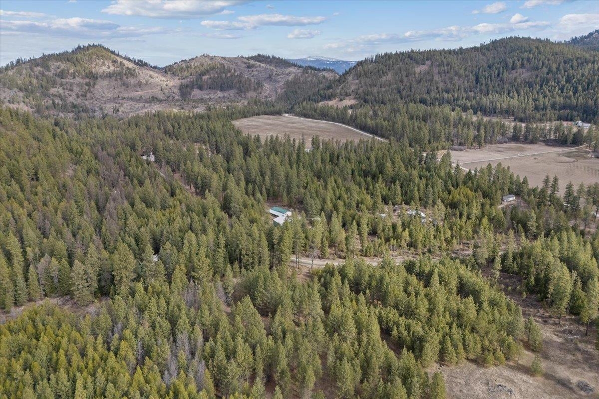 3627 Solokar Road Loon Lake, WA 99148 - Photo 46 of 48
