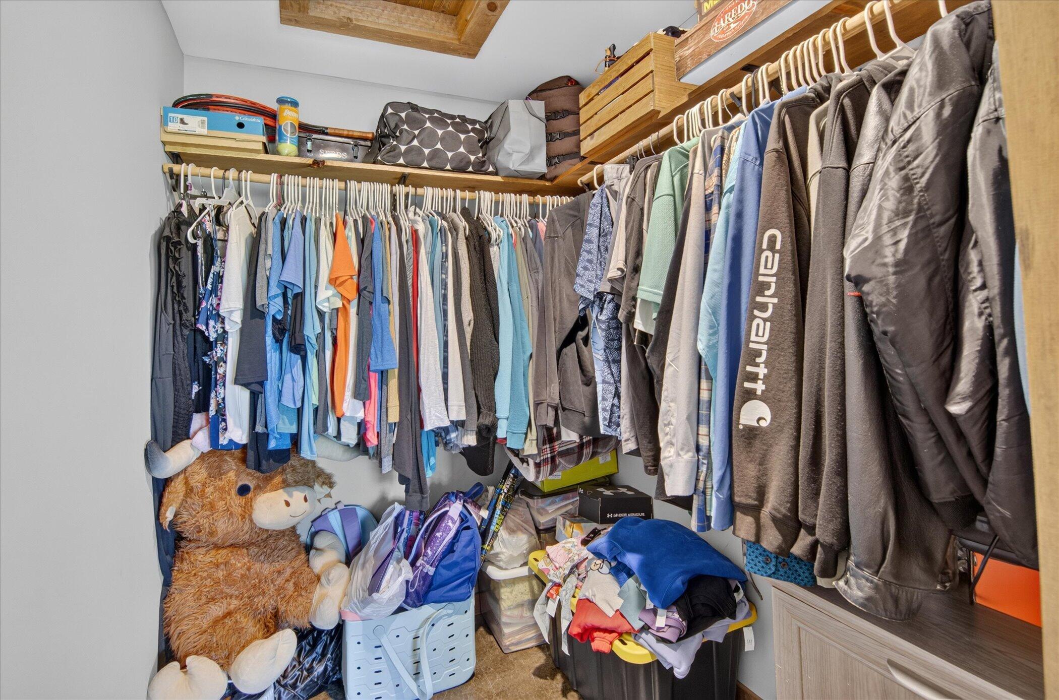 13951 Lane Road Cement City, MI 49233 - Photo 19 of 47 primary closet