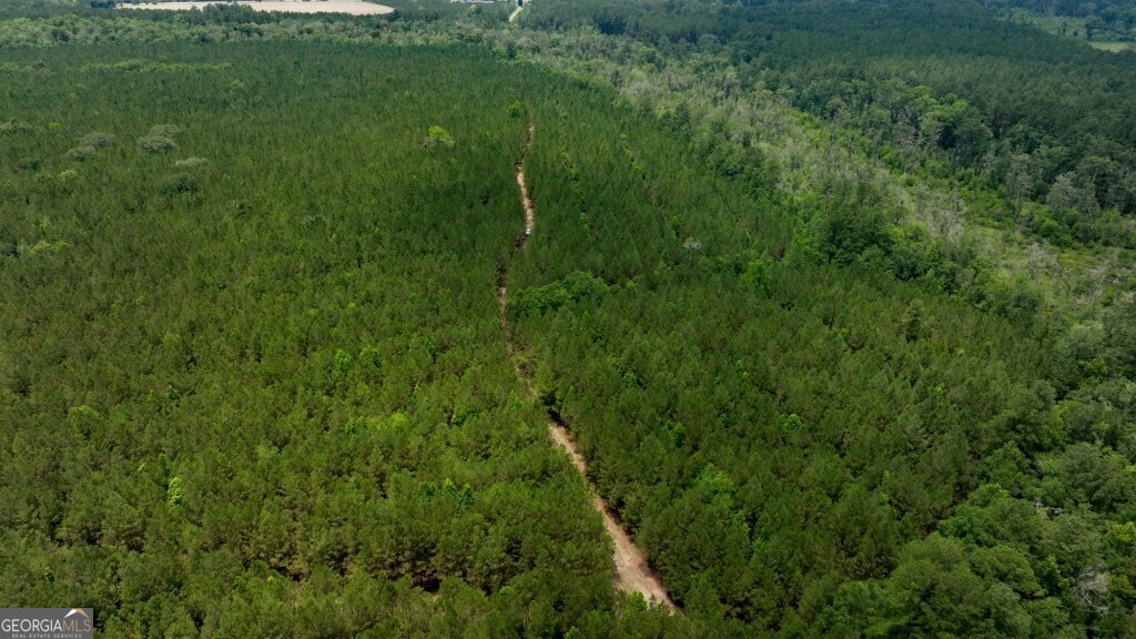0 Highway 204 & Carlos Cowart Road Pembroke, GA 31321 - Photo 34 of 47