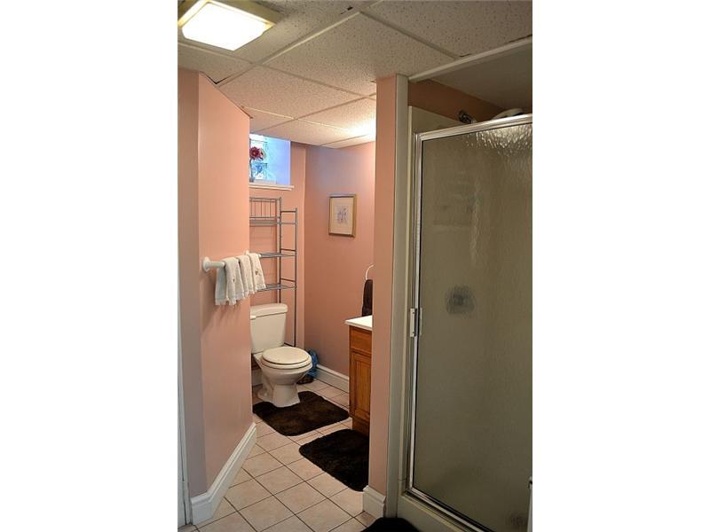 357 Goldsmith Road Pittsburgh, PA 15237 - Photo 19 of 25 Full Bath. Full lower level bath with shower.