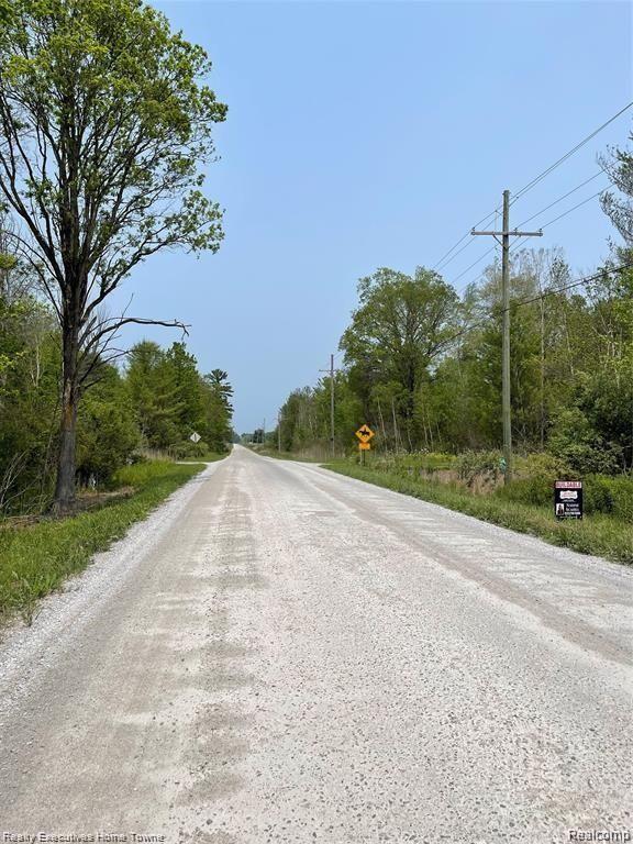 0 Rabidue Road North Street, MI 48049 - Photo 6 of 6