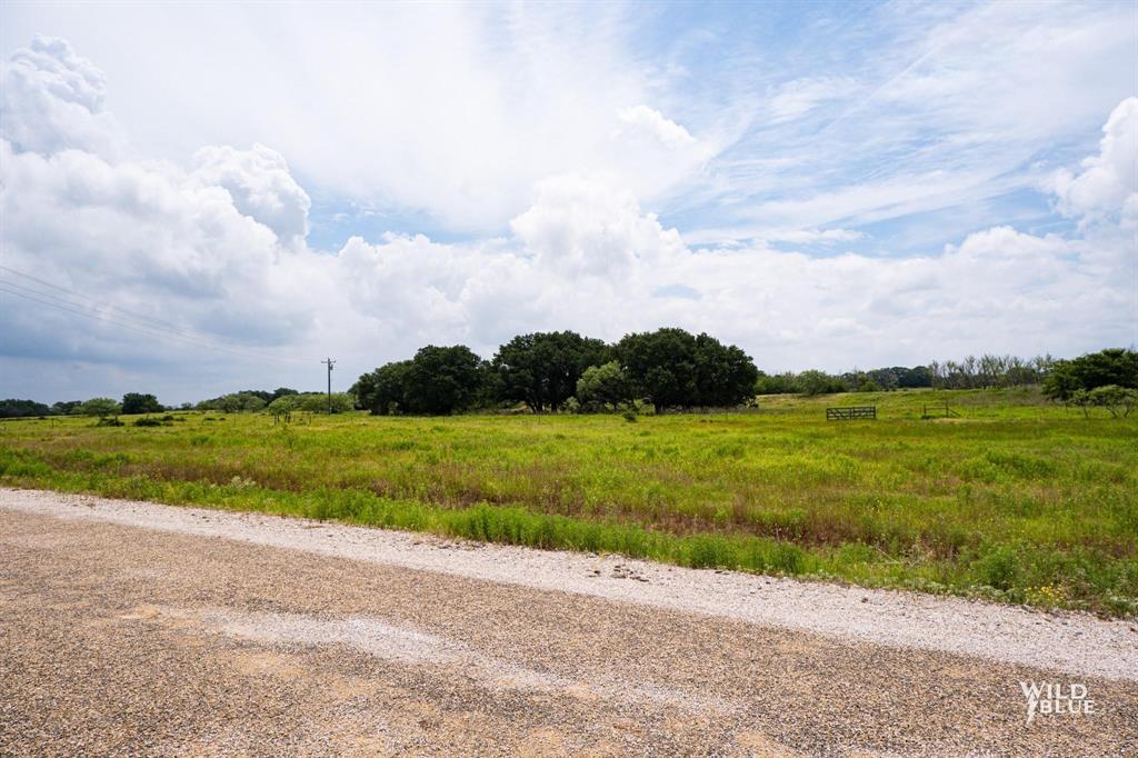 Lot 21 Canyon Ranch Road Palo Pinto, TX 76484 - Photo 5 of 14