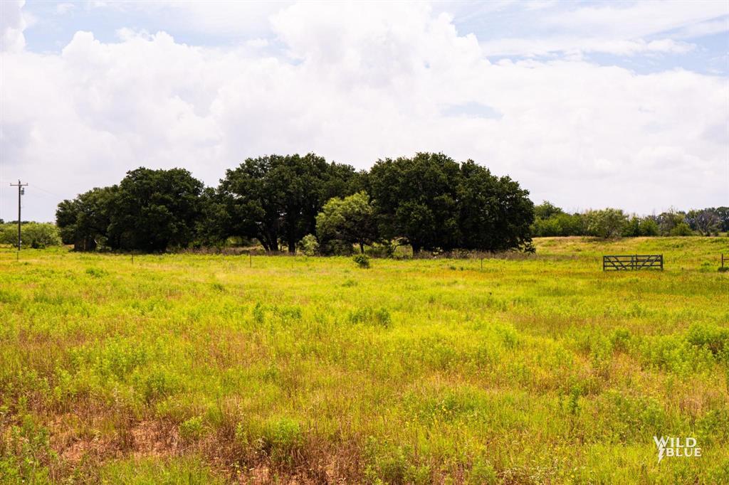 Lot 21 Canyon Ranch Road Palo Pinto, TX 76484 - Photo 6 of 14