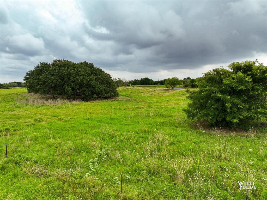 Lot 21 Canyon Ranch Road Palo Pinto, TX 76484 - Photo 10 of 14