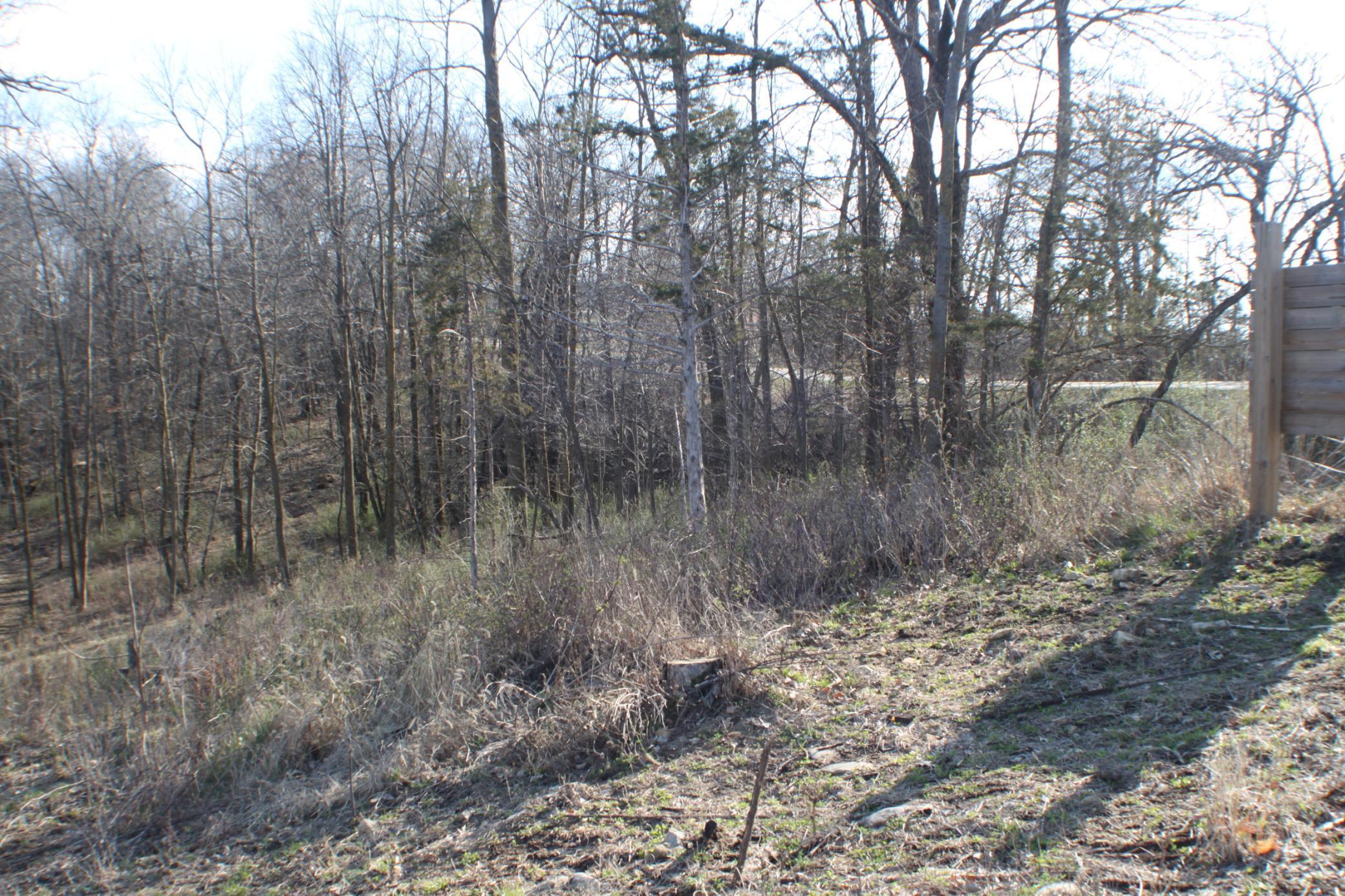 Xxxxb Kings Park Road Northwest Oronoco, MN 55960 - Photo 2 of 6