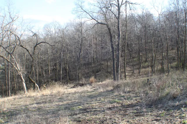 $109,900 | Xxxxb Kings Park Road Northwest, Oronoco, MN 55960