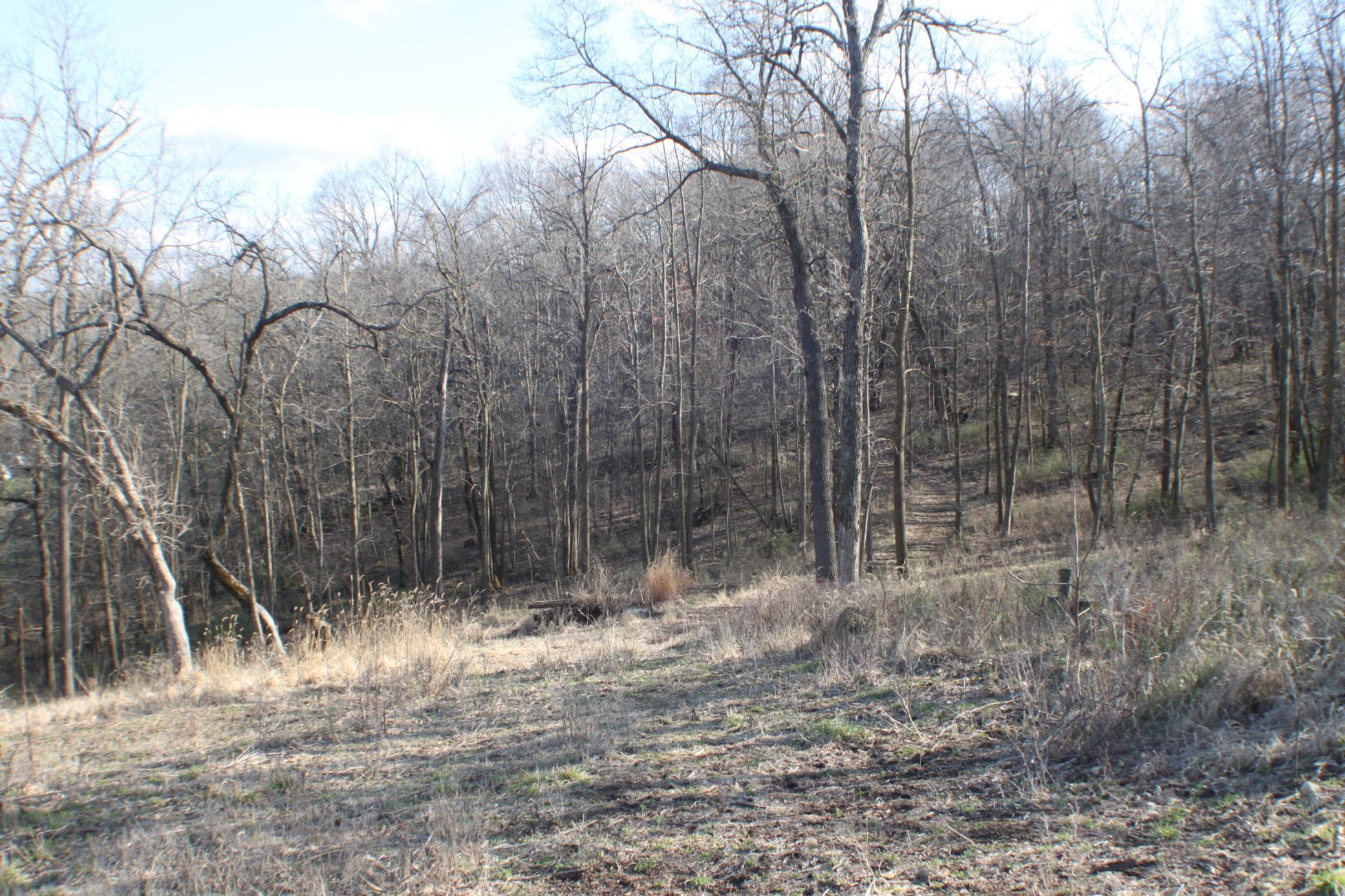 Xxxxb Kings Park Road Northwest Oronoco, MN 55960 - Photo 3 of 6