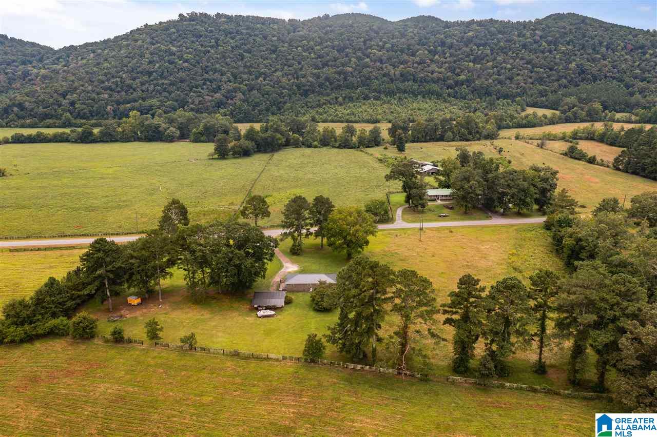 6005 Greensport Road Ashville, AL 35953 - Photo 33 of 36