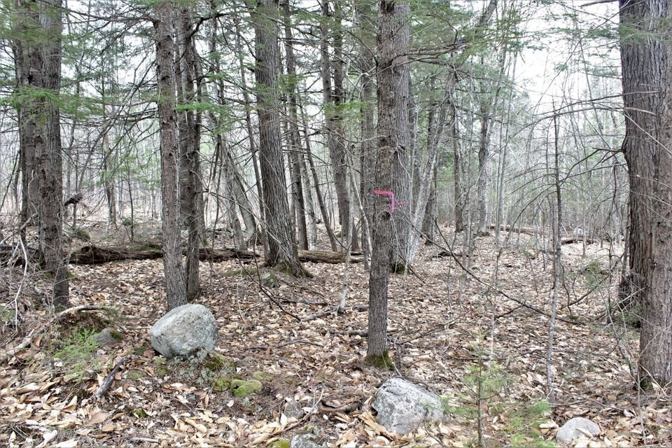 Lot 4 Haleytown Road Fryeburg, ME 04037 - Photo 1 of 6