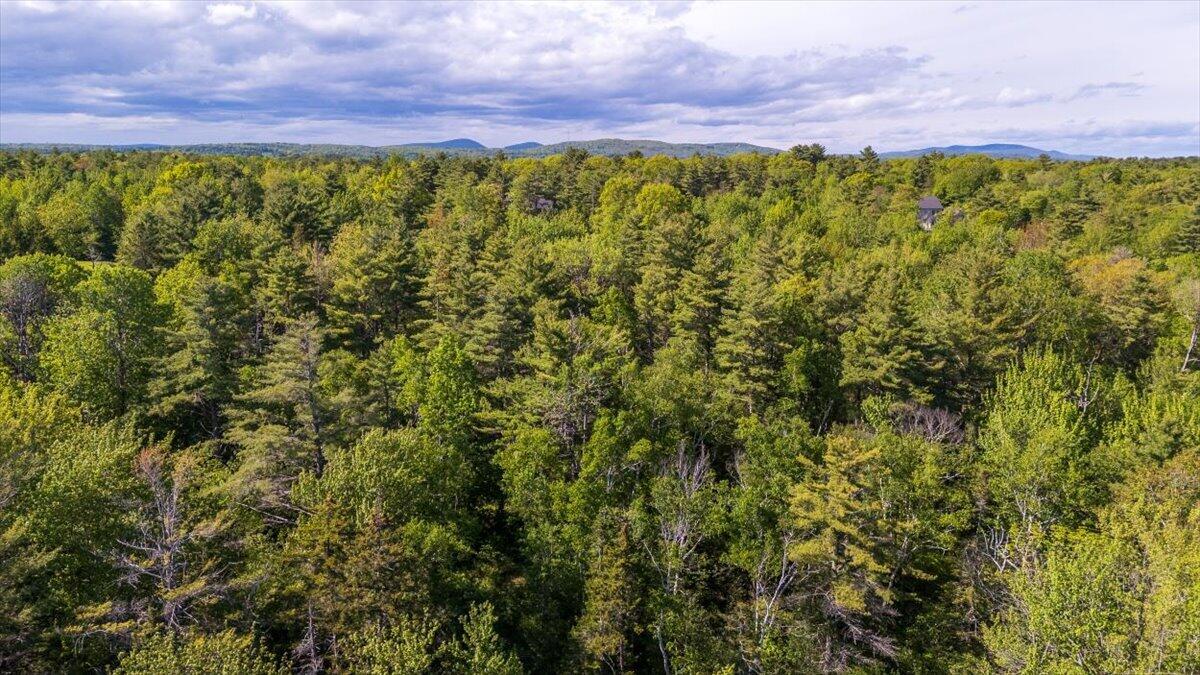 20 Map Street South Thomaston, ME 04858 - Photo 6 of 17 06-Iron tree-6