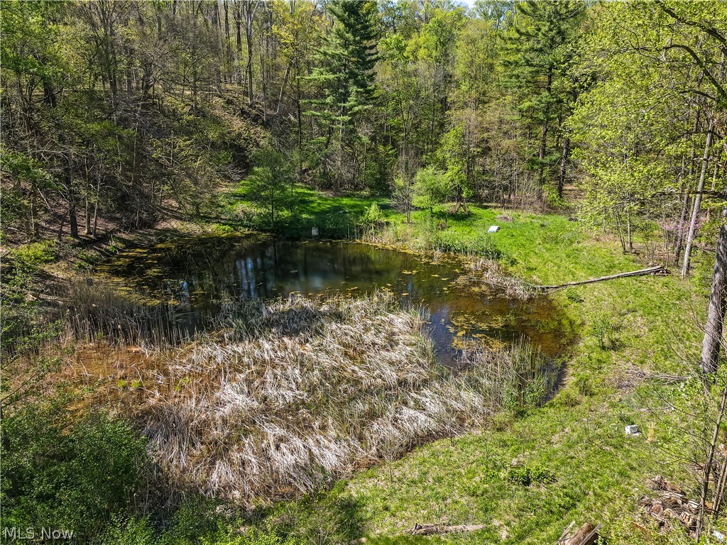 12376 Heath Road Chesterland, OH 44026 - Photo 4 of 50 Gallery Image 4