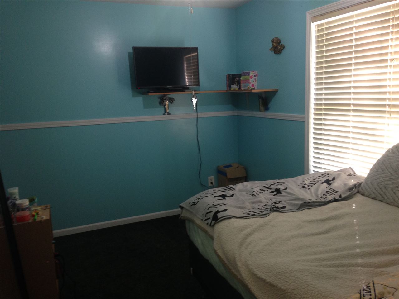 795 North Ferris Road Sumner, MI 48889 - Photo 24 of 42 1854205-23.JPG