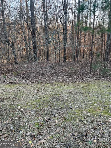 $32,500 | 0 Village Sparta Ga 31087, Sparta, GA 31087