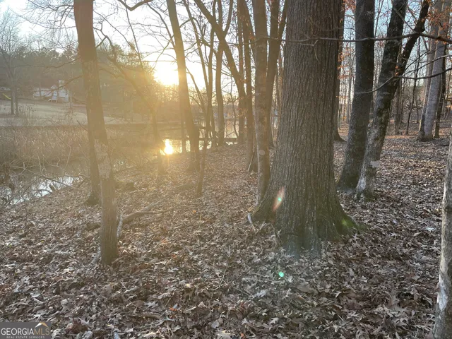 $32,500 | 0 Village Sparta Ga 31087, Sparta, GA 31087