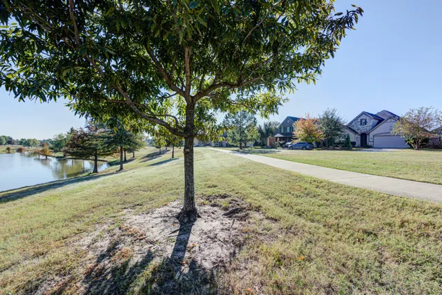 a view of a yard with a tree