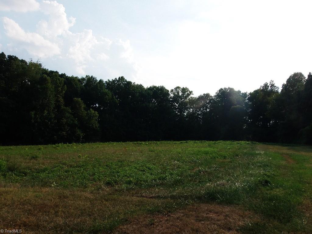 Shot of part of the 3.78 acres.
