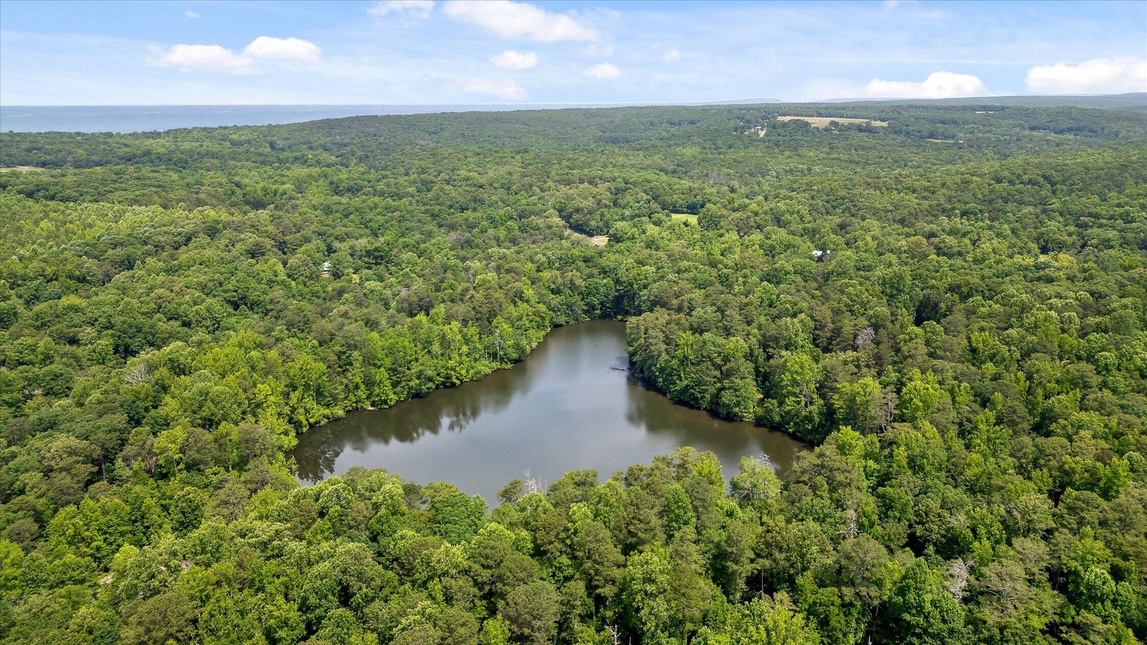 390 Moon Lake Road Mentone, AL 35984 - Photo 9 of 60 13-Moon Lake-12