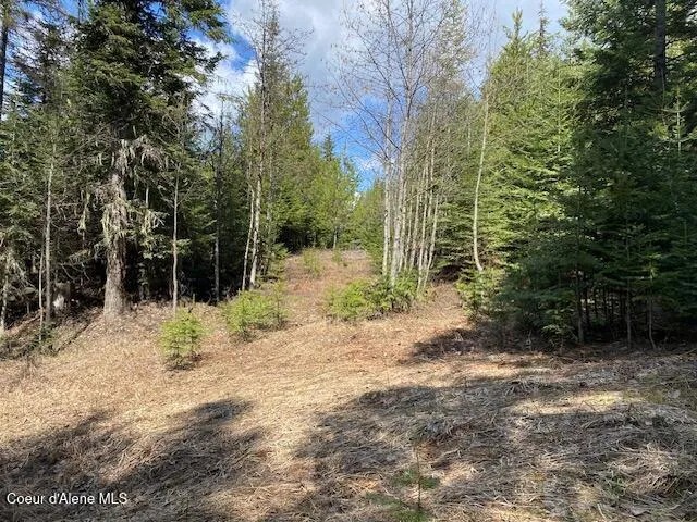 $239,000 | Nna Upper Gold Creek Road, Sandpoint, ID 83864