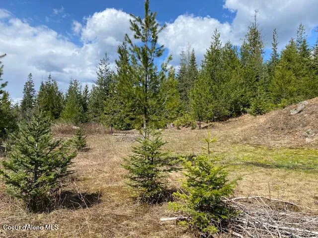 $239,000 | Nna Upper Gold Creek Road, Sandpoint, ID 83864