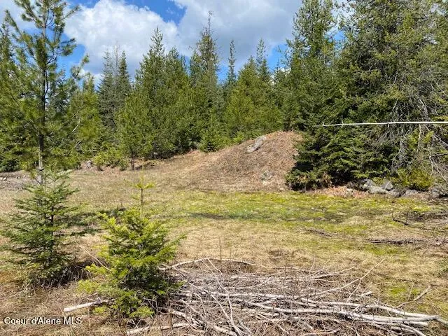 $239,000 | Nna Upper Gold Creek Road, Sandpoint, ID 83864