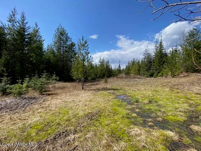 $239,000 | Nna Upper Gold Creek Road, Sandpoint, ID 83864