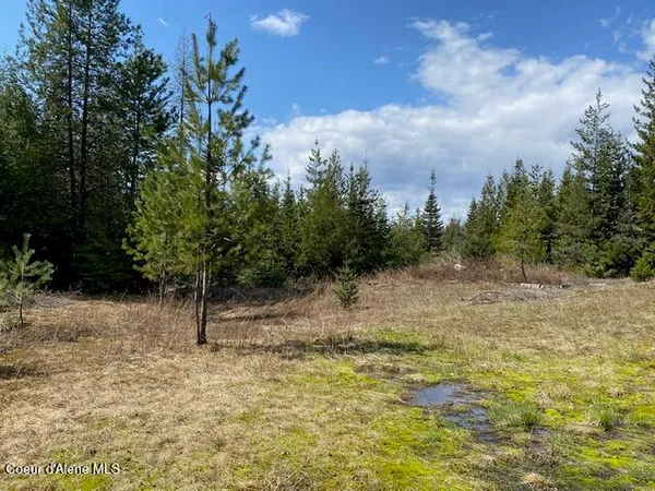 $239,000 | Nna Upper Gold Creek Road, Sandpoint, ID 83864
