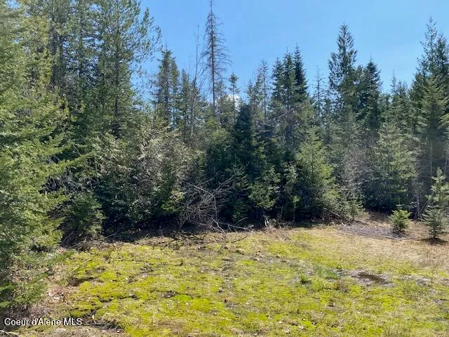 $239,000 | Nna Upper Gold Creek Road, Sandpoint, ID 83864