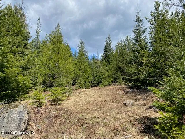 $239,000 | Nna Upper Gold Creek Road, Sandpoint, ID 83864