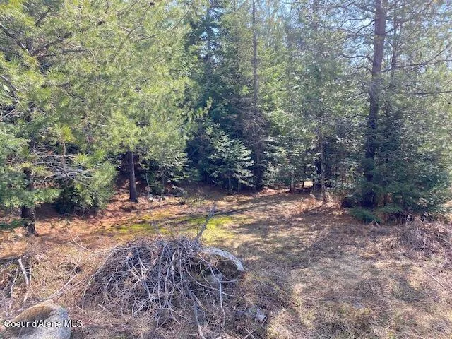 $239,000 | Nna Upper Gold Creek Road, Sandpoint, ID 83864