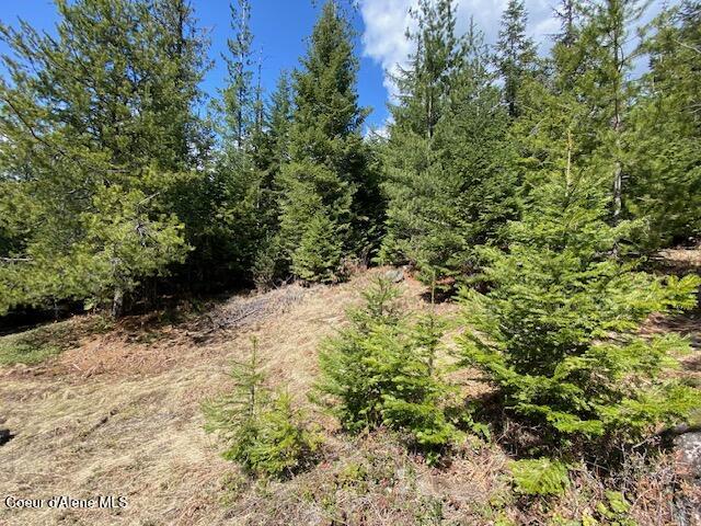 Nna Upper Gold Creek Road Sandpoint, ID 83864 - Photo 19 of 25 22