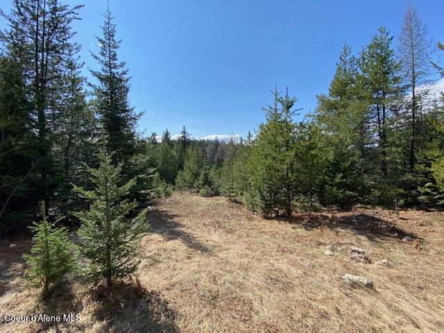 Nna Upper Gold Creek Road Sandpoint, ID 83864 - Photo 20 of 25 23