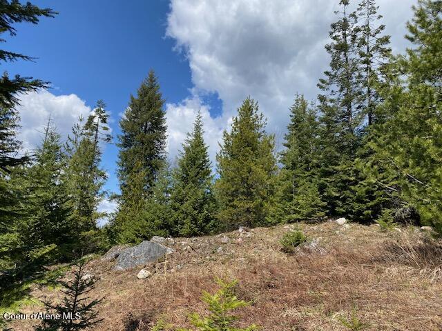Nna Upper Gold Creek Road Sandpoint, ID 83864 - Photo 22 of 25 25