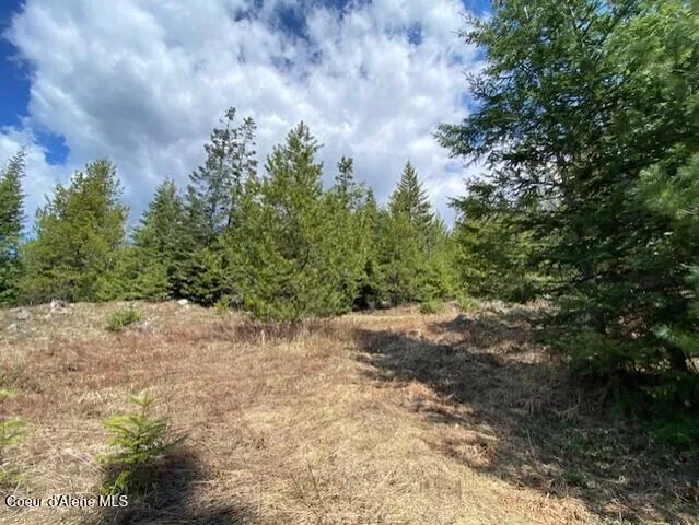 $239,000 | Nna Upper Gold Creek Road, Sandpoint, ID 83864