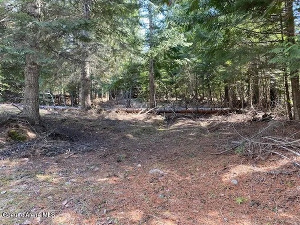 $239,000 | Nna Upper Gold Creek Road, Sandpoint, ID 83864