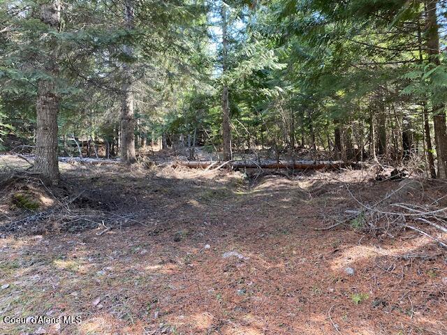 Nna Upper Gold Creek Road Sandpoint, ID 83864 - Photo 3 of 25 3