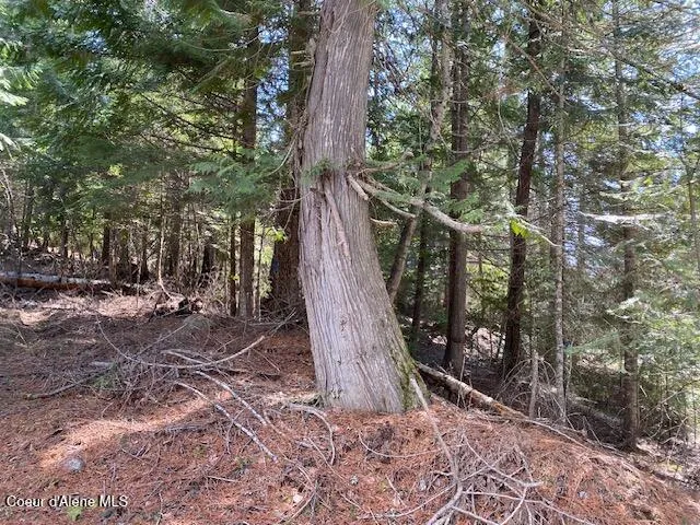 $239,000 | Nna Upper Gold Creek Road, Sandpoint, ID 83864