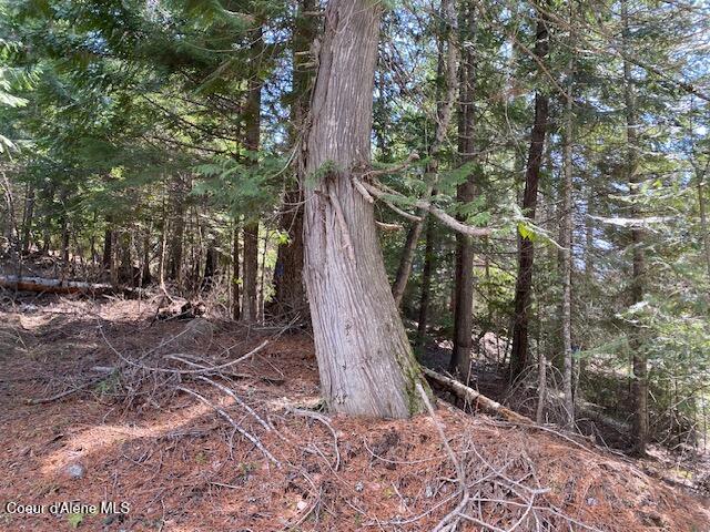 Nna Upper Gold Creek Road Sandpoint, ID 83864 - Photo 4 of 25 4