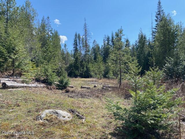 Nna Upper Gold Creek Road Sandpoint, ID 83864 - Photo 6 of 25 6