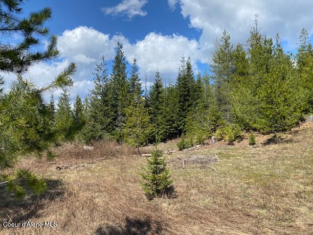 Nna Upper Gold Creek Road Sandpoint, ID 83864 - Photo 7 of 25 7