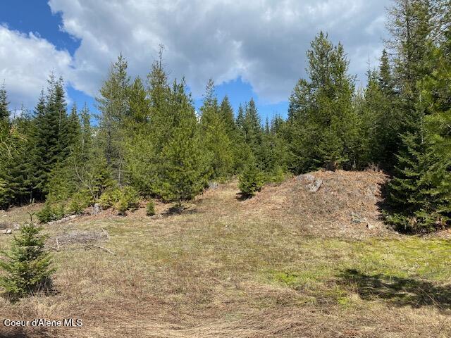 Nna Upper Gold Creek Road Sandpoint, ID 83864 - Photo 8 of 25 8