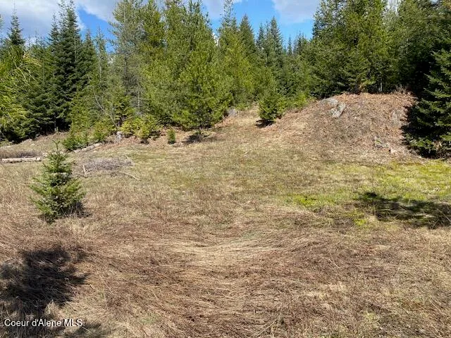 $239,000 | Nna Upper Gold Creek Road, Sandpoint, ID 83864