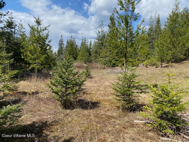 Nna Upper Gold Creek Road Sandpoint, ID 83864 - Photo 10 of 25 10