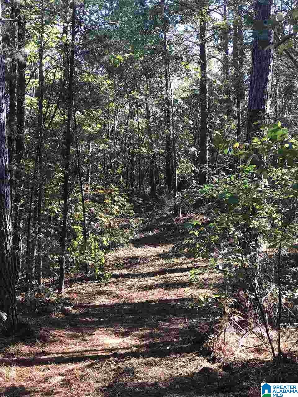 0 County Road 546 Verbena, AL 36091 - Photo 6 of 13