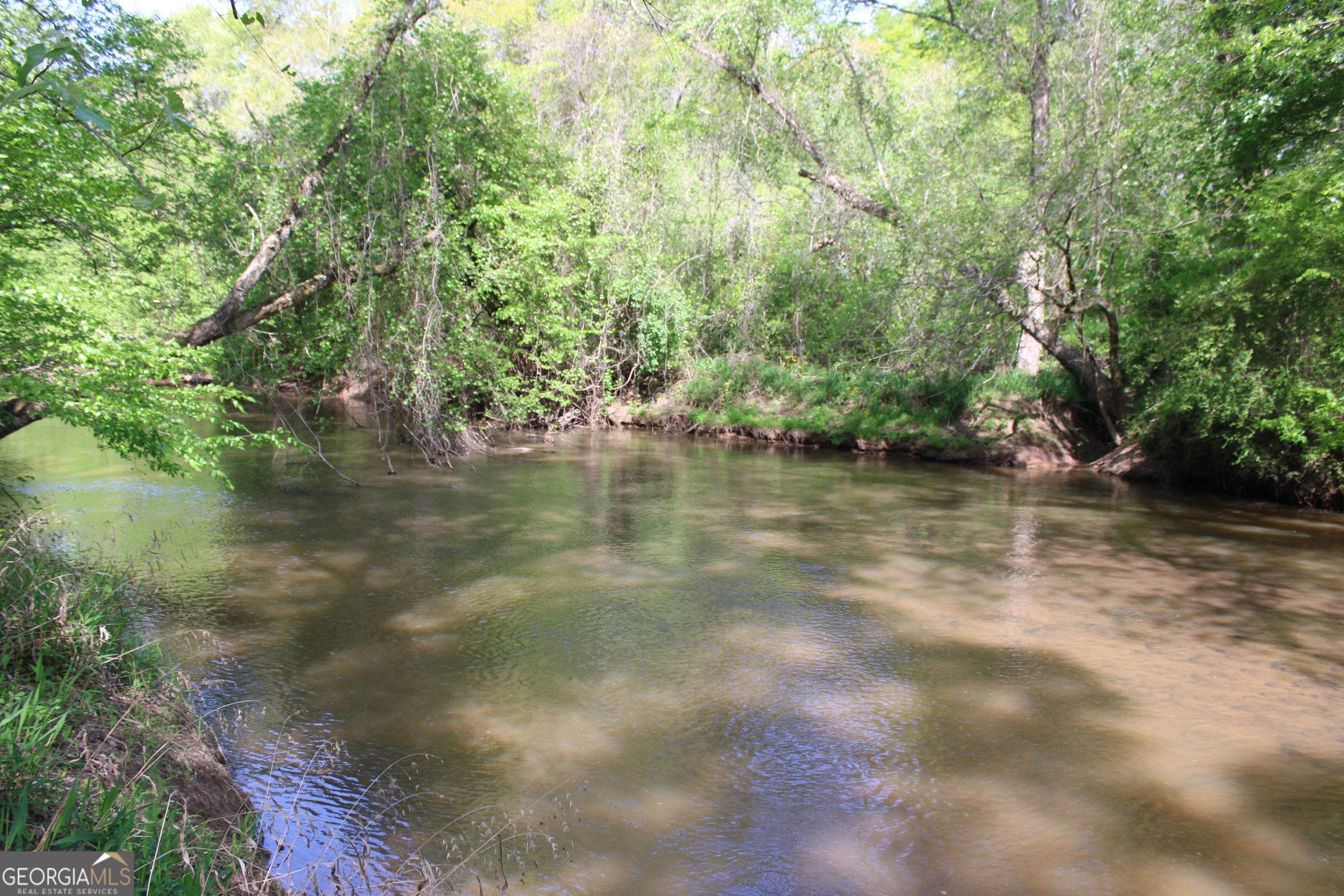 0 Ruffner Road The Rock, GA 30285 - Photo 2 of 51