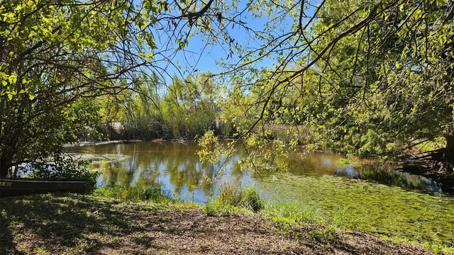 a view of a lake with a big yard and large trees