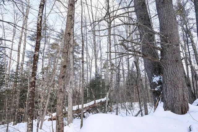 $20,000 | 20 Elijah Beede Road, Sandwich, NH 03227