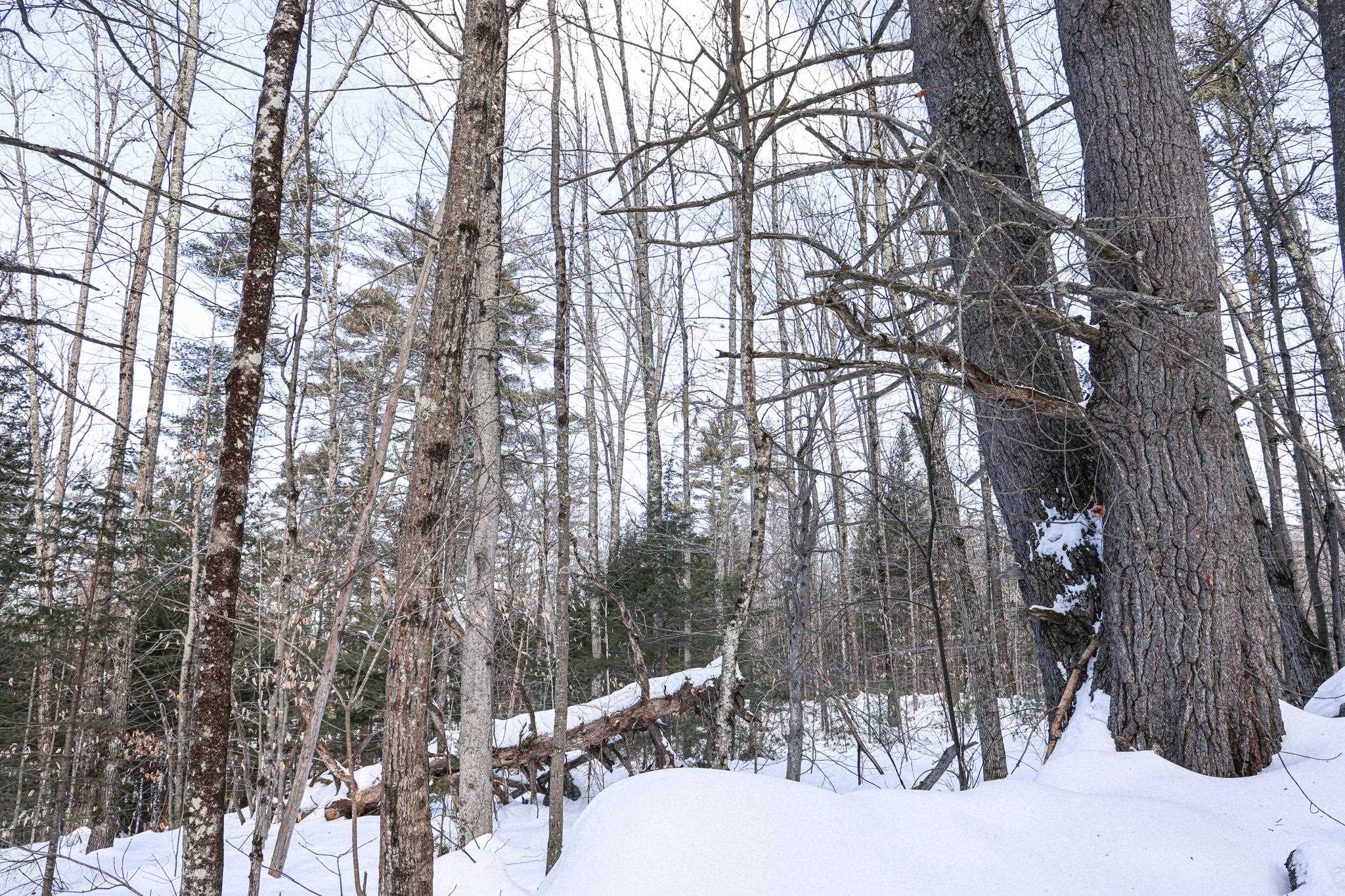 20 Elijah Beede Road Sandwich, NH 03227 - Photo 11 of 12